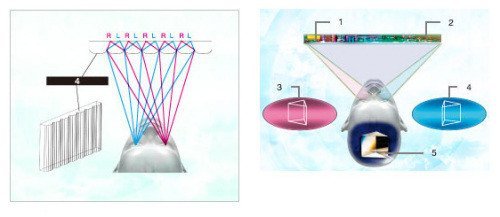 虎虎生威 2010年数码影像技术展望